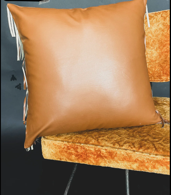Western Fringe Pillow
